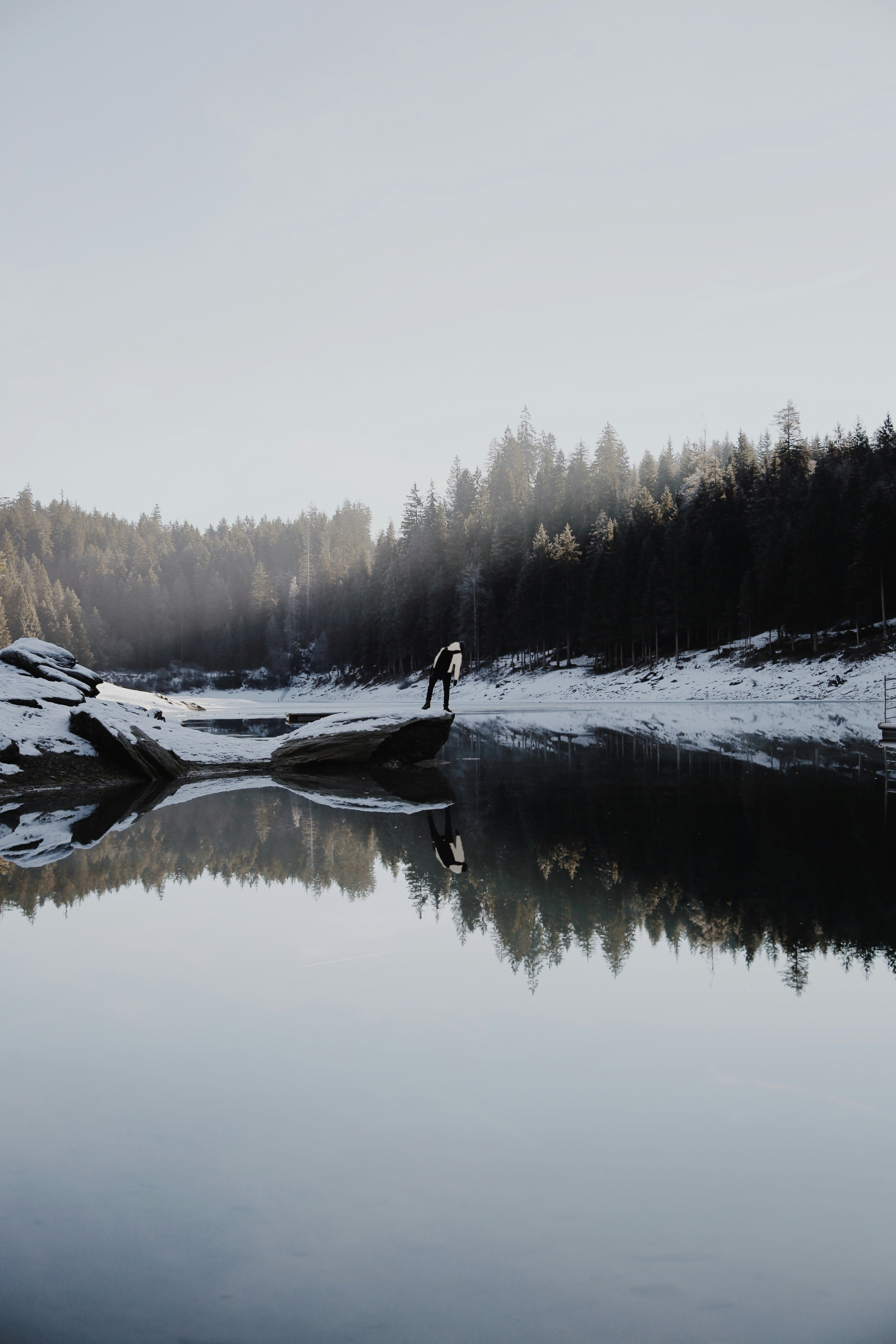 person beside lake near pine trees during daytime